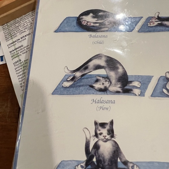 🐱 Yoga Kitty print with 9 yoga poses - Picture 9 of 10